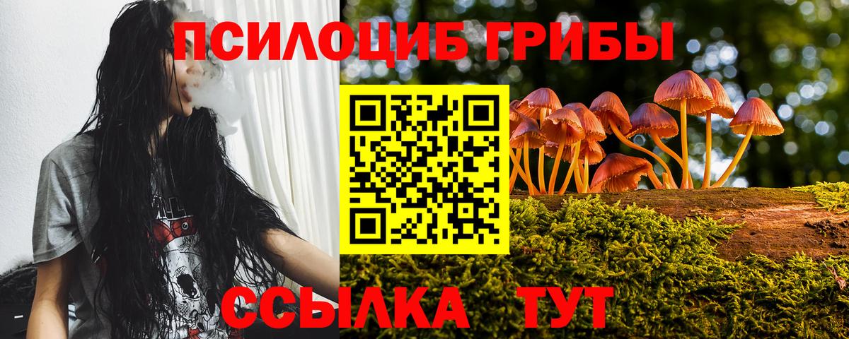 продажа наркотиков  Галлюциногенные грибы GOLDEN TEACHER  Вход с VPN  Дубна 